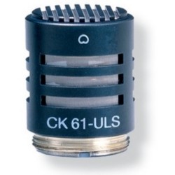AKG C480