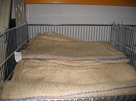 Burlap Burlap