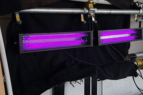Dee Blacklight