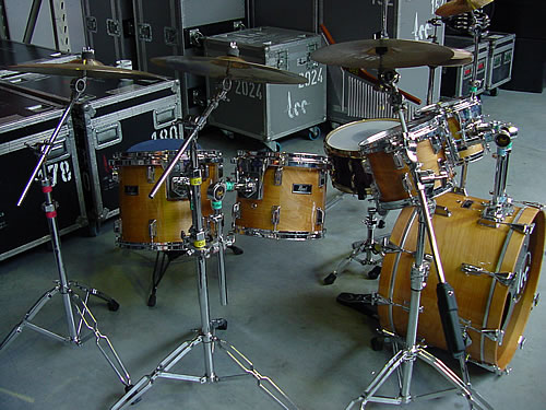 Pearl  Maple 22x15