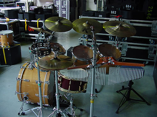Pearl  Maple 8x8