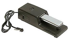 Roland DP-10