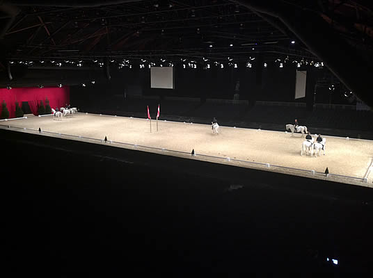 Spanish Riding School - 3