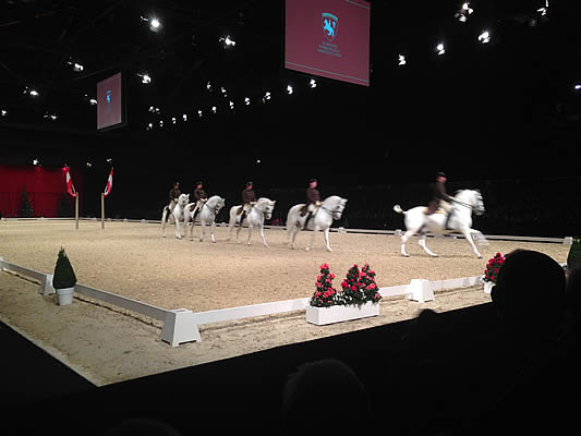 Spanish Riding School - 5