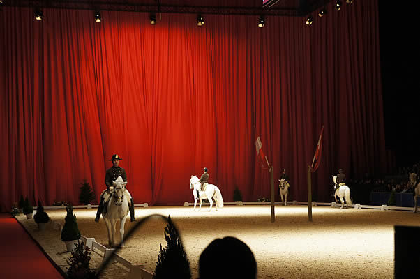 Spanish Riding School - 15