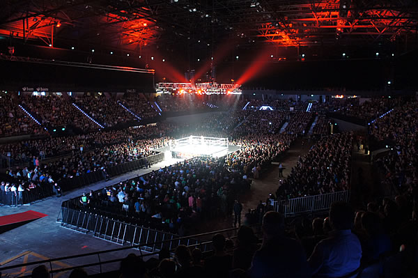 WWE - 12