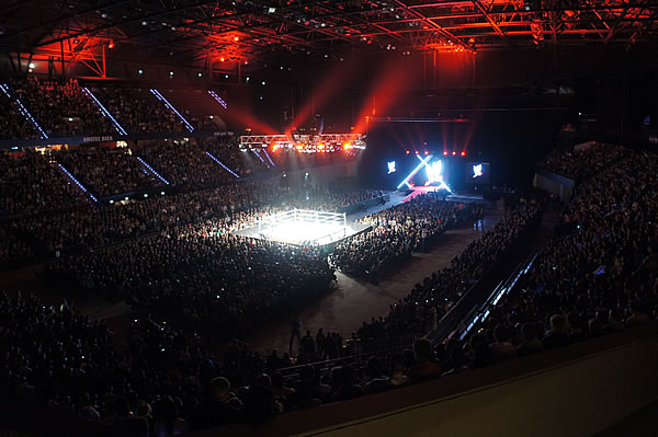 WWE - 16